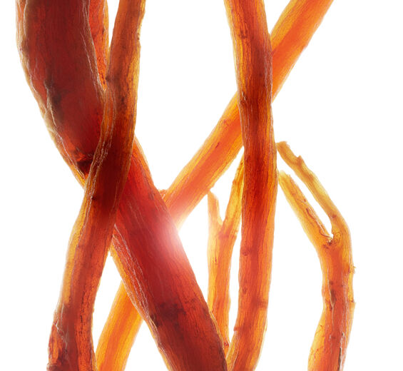 Ginseng-Luonnollinen punainen ginseng -uute-Panax ginseng root extract