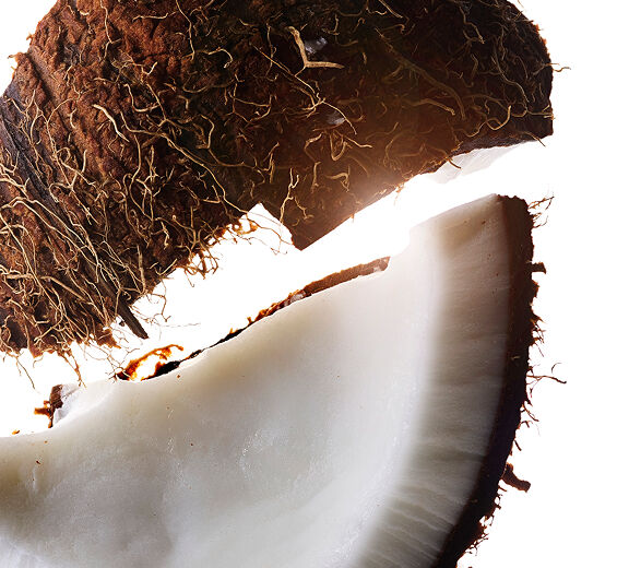 Kookospalmu-Kookos&ouml;ljy-Cocos nucifera (Coconut) oil