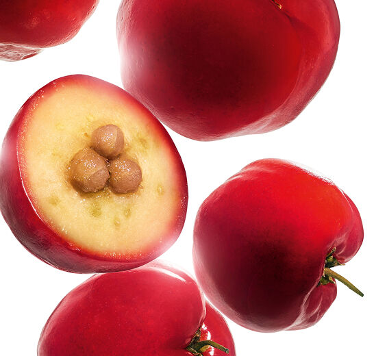 Acerola-Acerola-uute-Malpighia emarginata (acerola) fruit extract