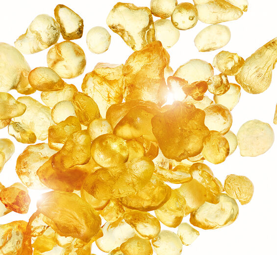 Mastiksipuu-Mastic-uute-Pistacia lentiscus (mastic) gum