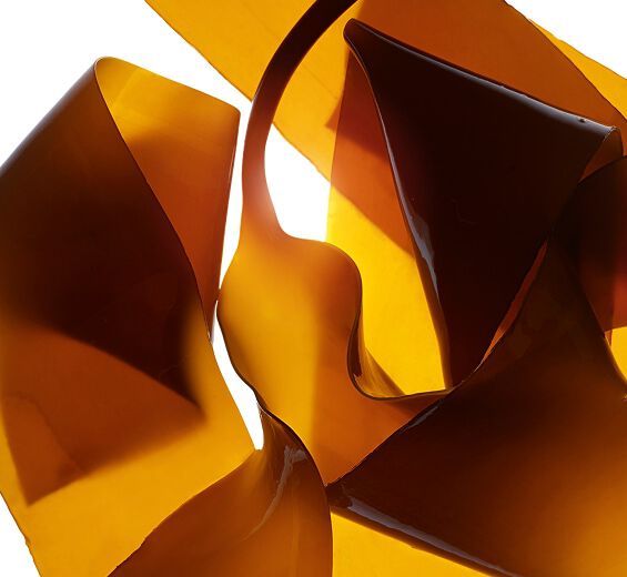 Laminaria-Laminaria-uute-Laminaria digitata extract