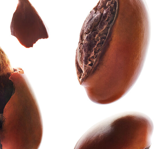 Sheapuu-Sheavoi-Butyrospermum parkii (shea) butter