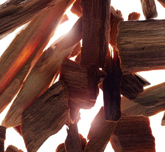 Santelma-Sandalwood eteerinen öljy-Santalum album (sandalwood) oil