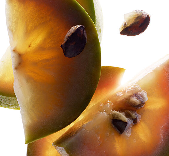 Tähtiapina-Vu sua uute-Chrysophyllum cainito fruit extract