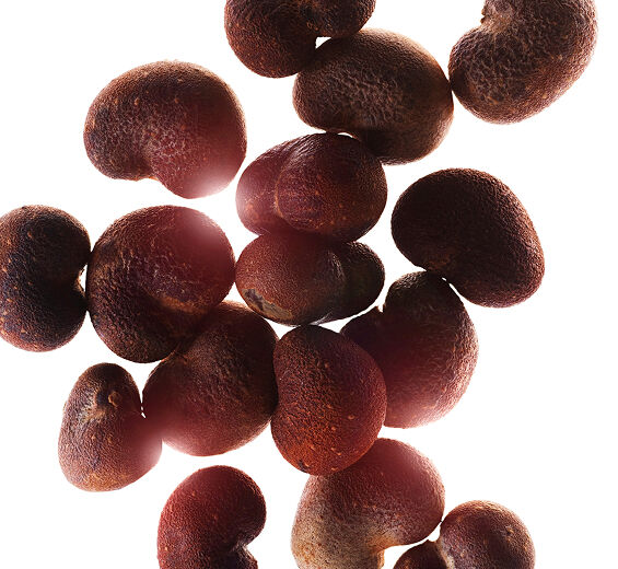 Baobab-Baobab-uute-Hydrolyzed adansonia digitata extract