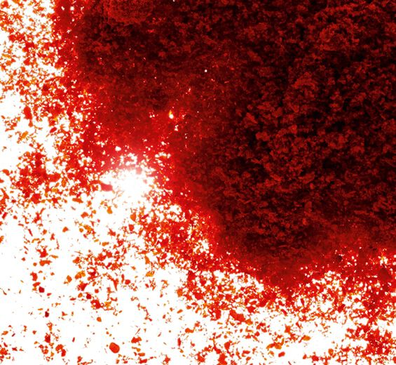 Paprika-Paprika uute-Capsicum annuum fruit extract