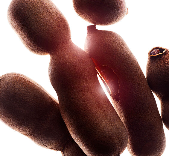 Tamanu-Orgaaninen tamanu-öljy-Calophyllum inophyllum seed oil