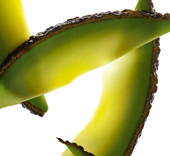 Avokado-Luomu avokadoöljy-Persea gratissima (avocado) fruit extract