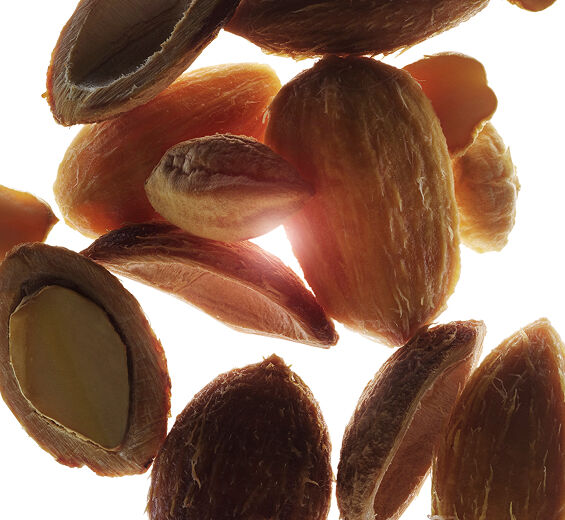 Aavikkopäivämänty-Orgaaninen autiomaapäiväntasaaja-uute-Balanites roxburghii seed oil