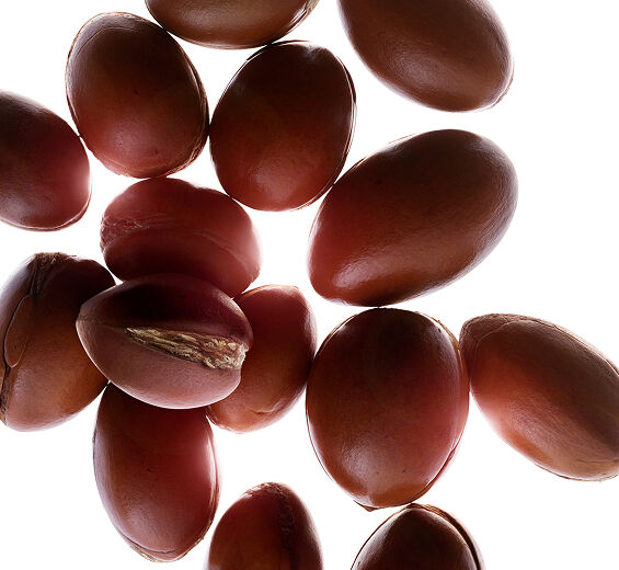 Arganipuu-Luomu argan-öljy-Argania spinosa kernel oil
