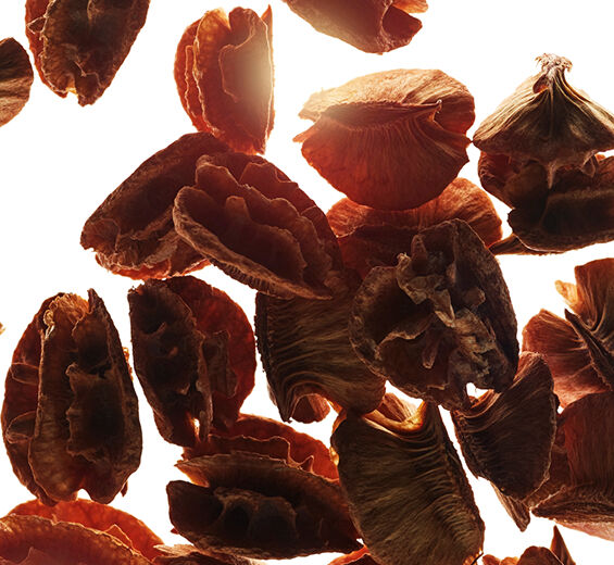 Acerola-Acerola-siementen uute-Malpighia emarginata (acerola) seed extract