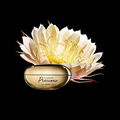 Precious Eye Cream 2026
