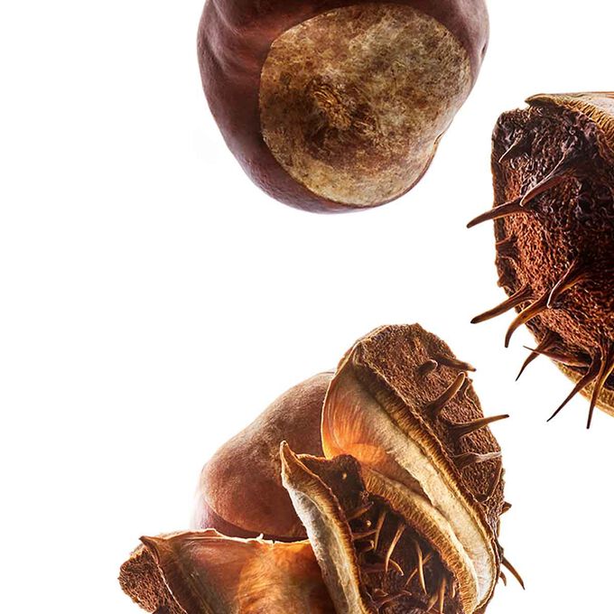 Nutri-Lumière Night Cream - All Skin Types