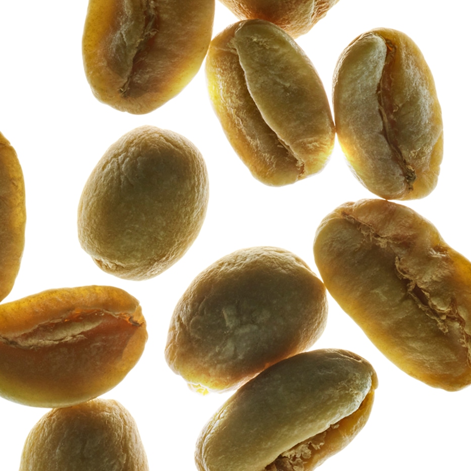 Arabica-kahvipensas-Kasvi kofeiini-Caffeine