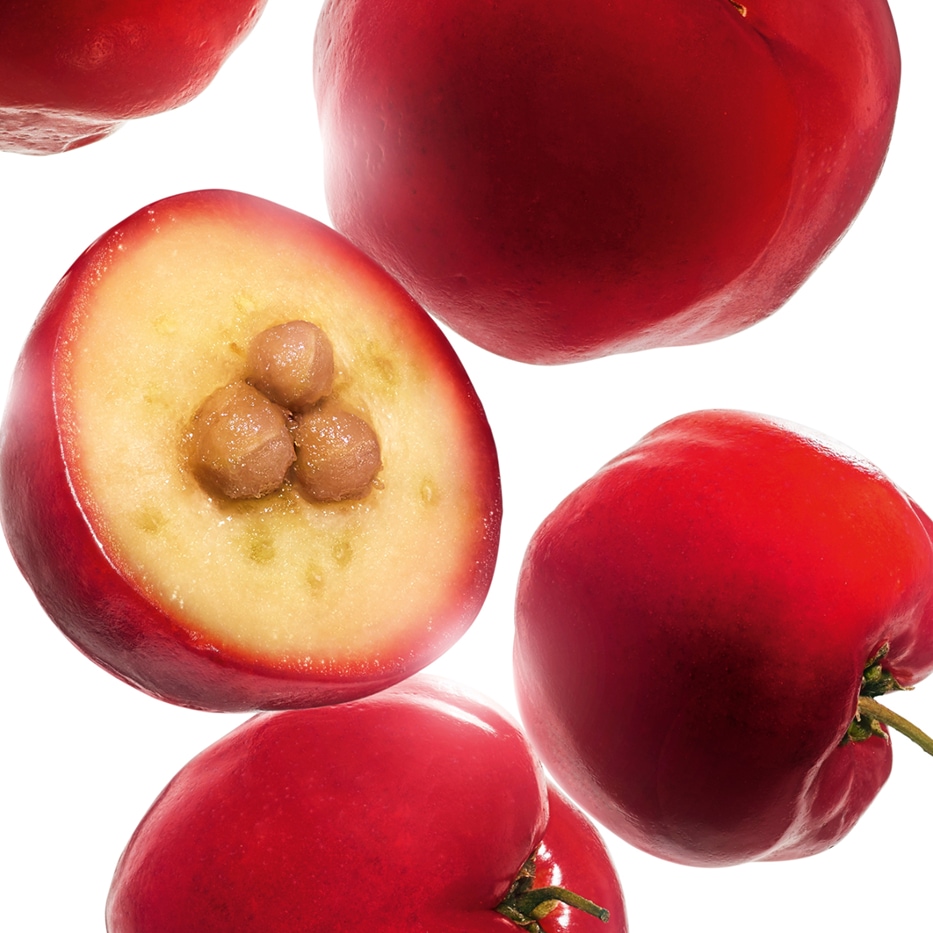 Acerola-Acerola-uute-Malpighia emarginata (acerola) fruit extract