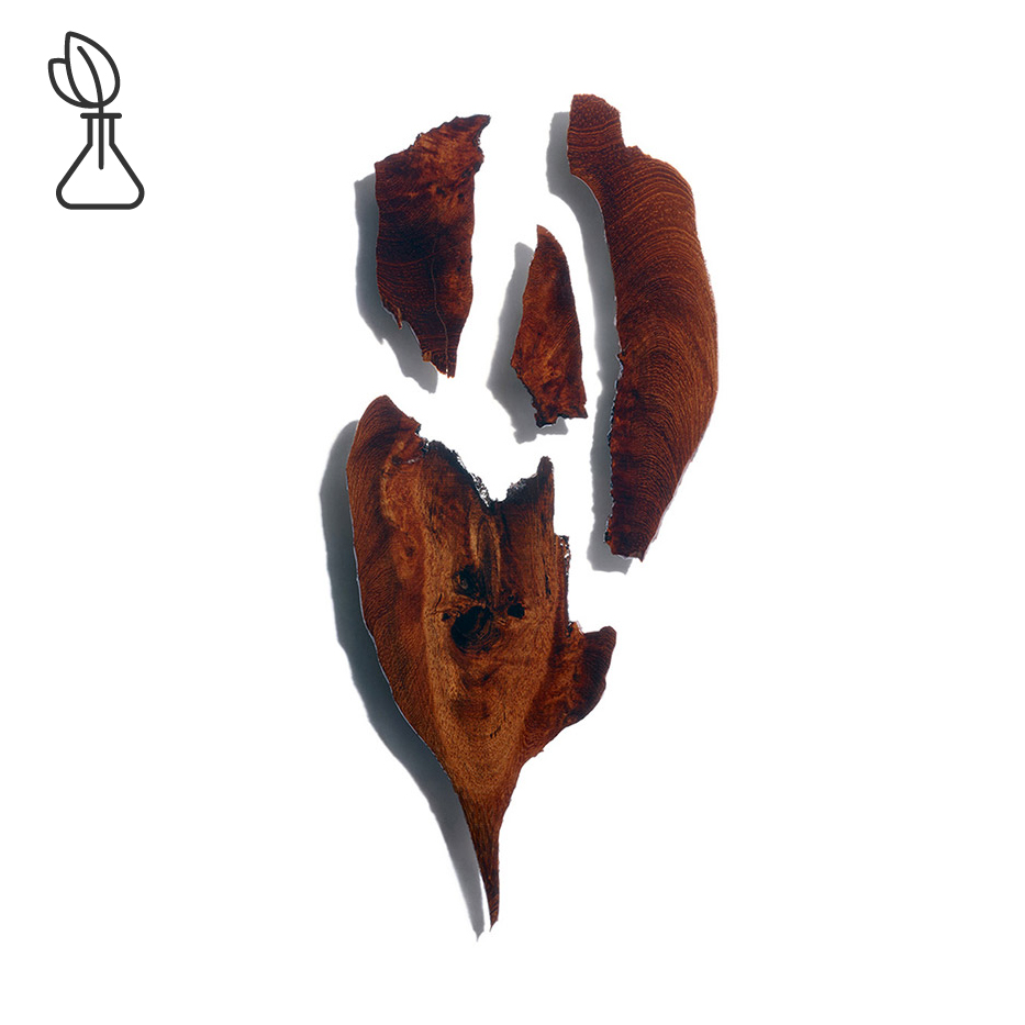 Bocoa-Bocoa-uute-Bocoa prouacensis extract