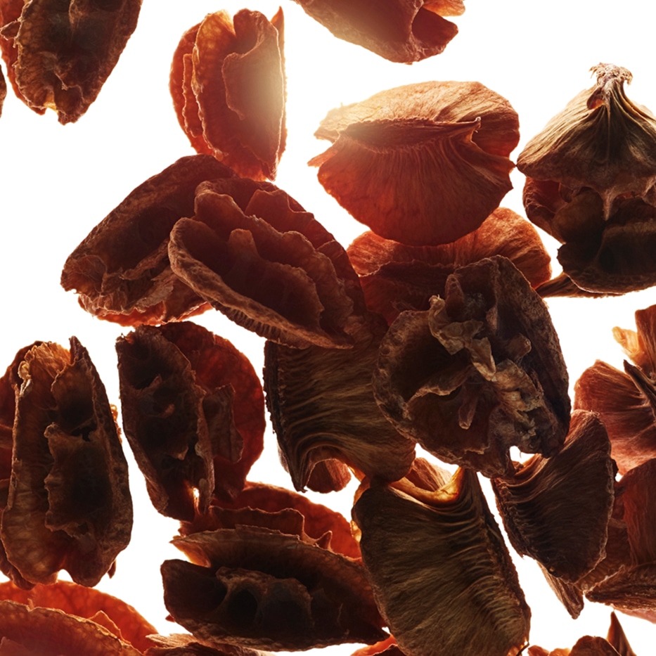 Acerola-Acerola-siementen uute-Malpighia emarginata (acerola) seed extract