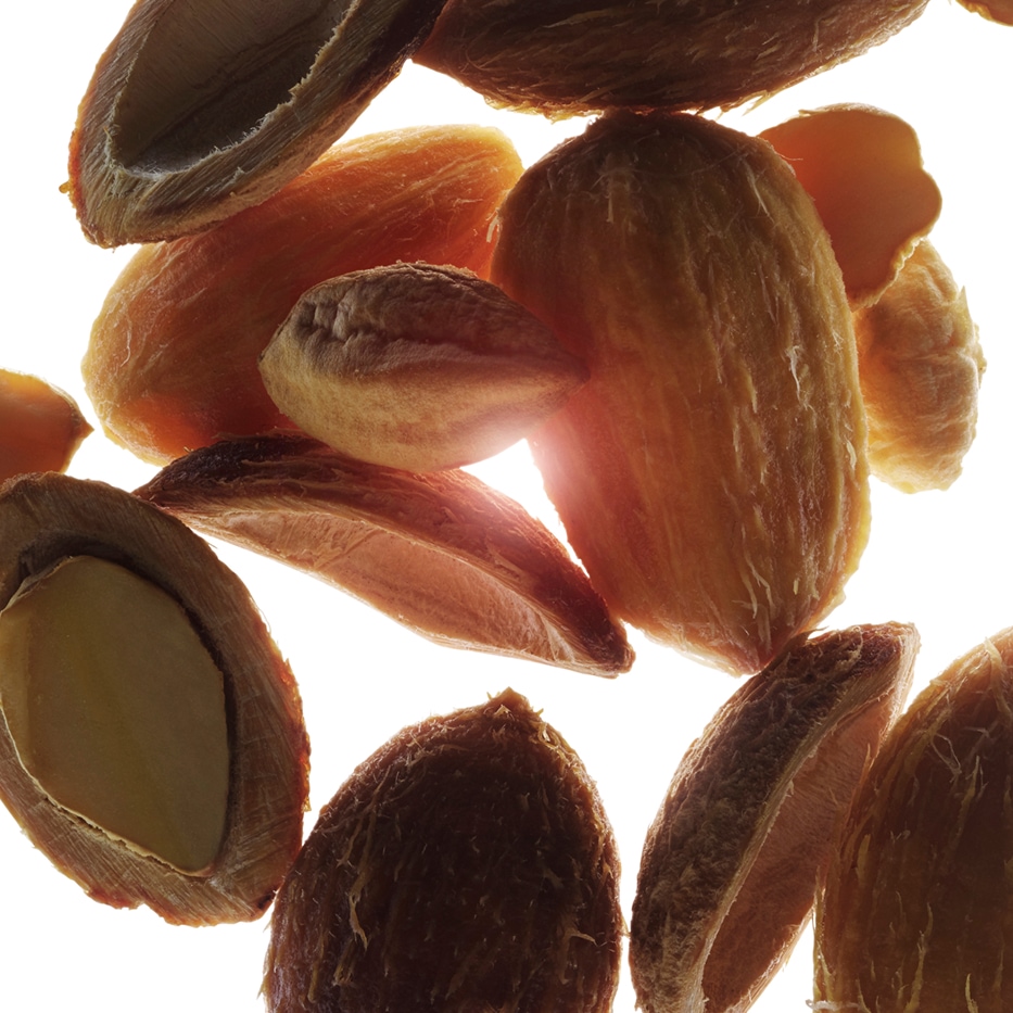 Aavikkopäivämänty-Orgaaninen autiomaapäiväntasaaja-uute-Balanites roxburghii seed oil