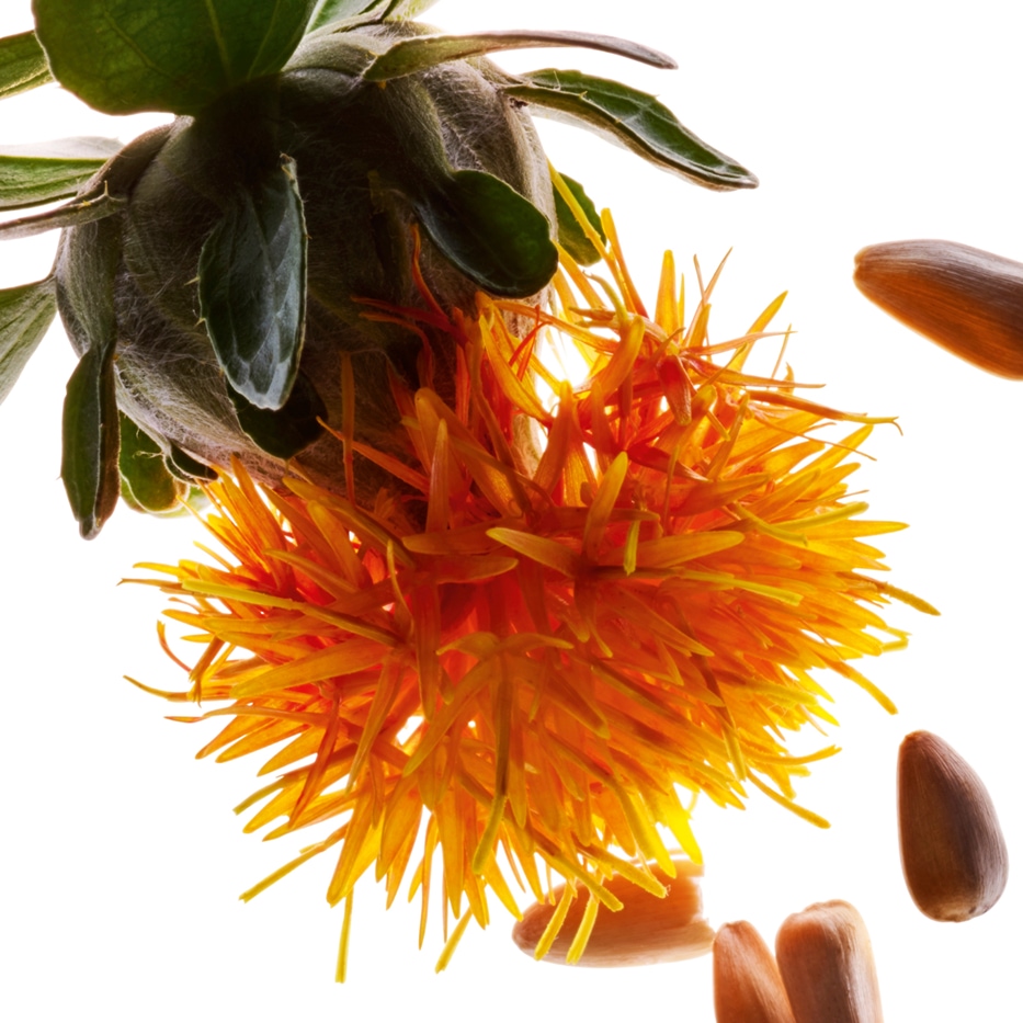 Safflower-Auringonkukkaekstrakti-Carthamus tinctorius (safflower) seedcake extract